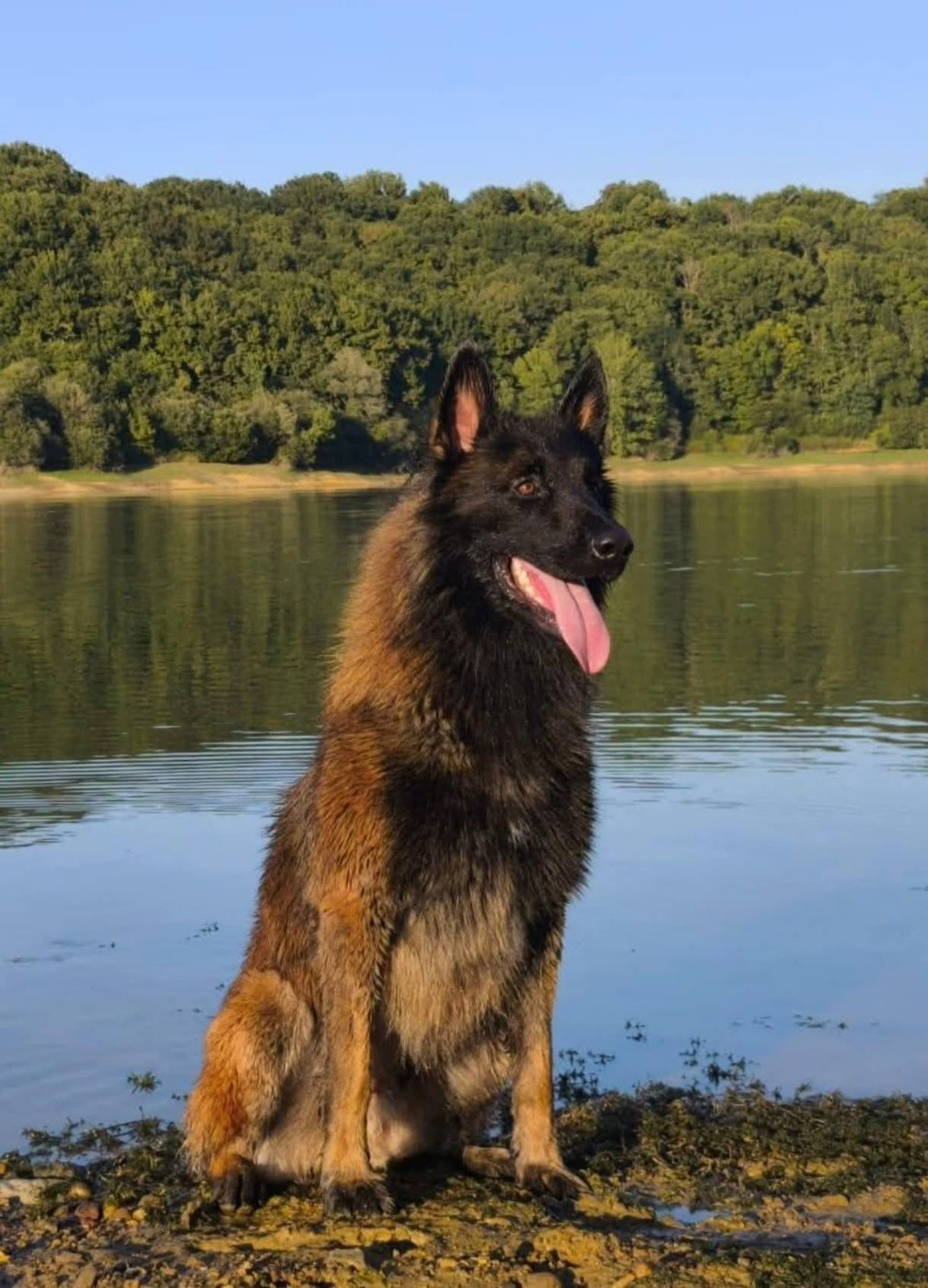 U'Keebee du Domaine De Labarthe